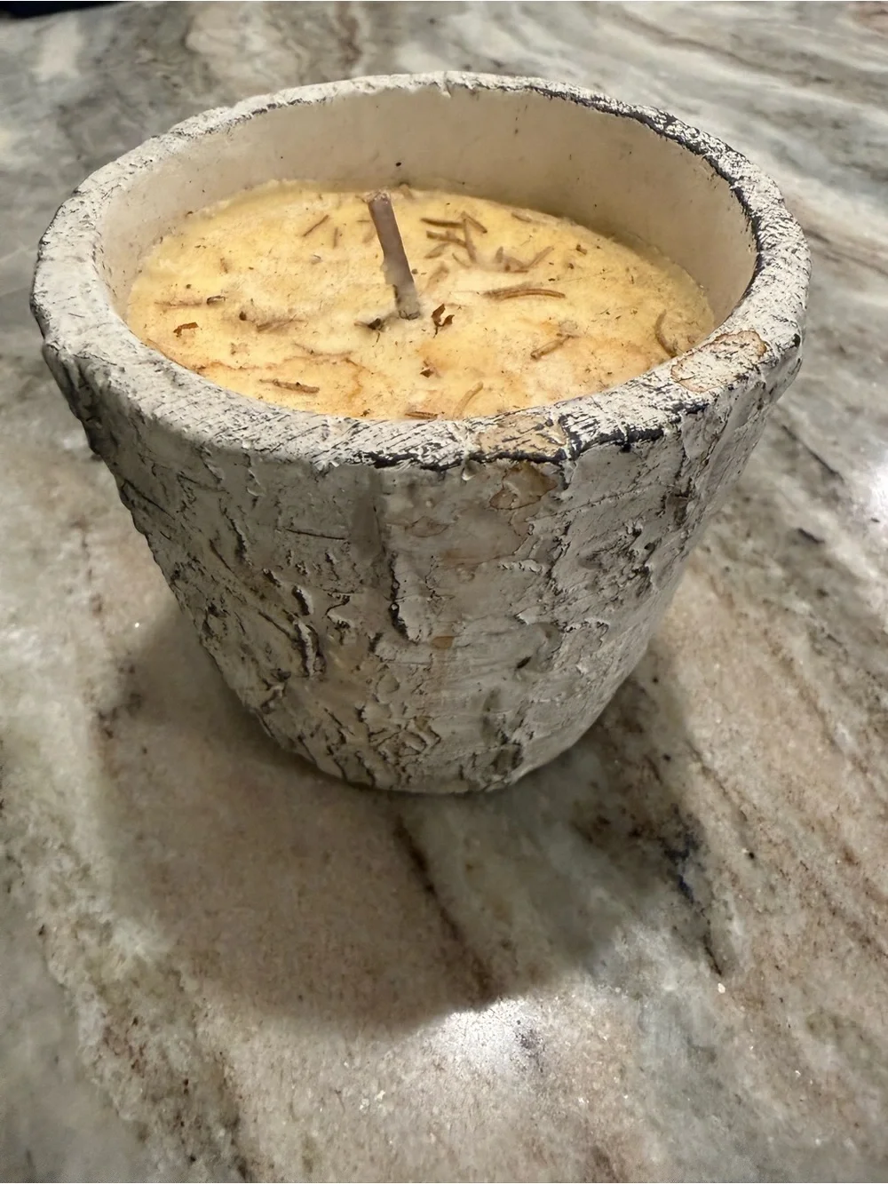 Rustic Birch Pot Soy Candle - Cream